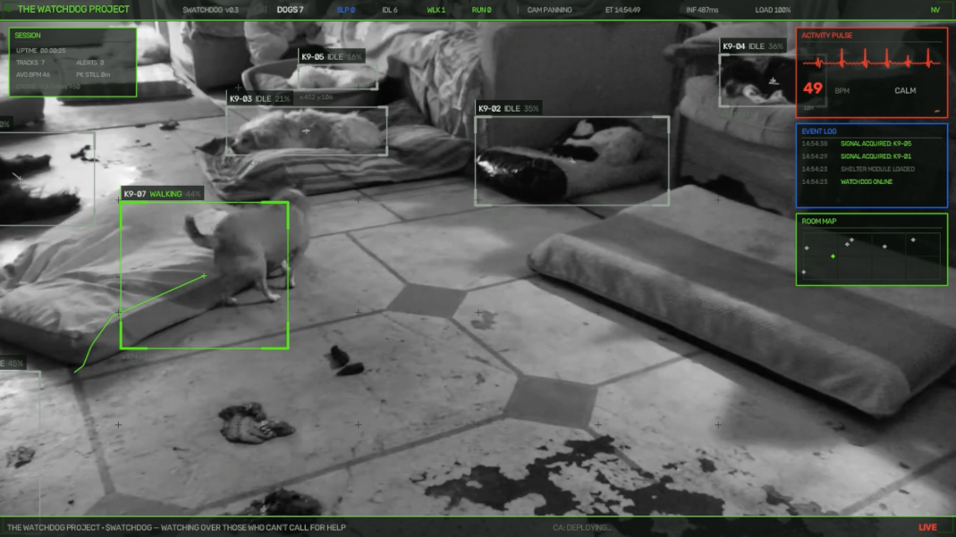 Watchdog live analysis frame