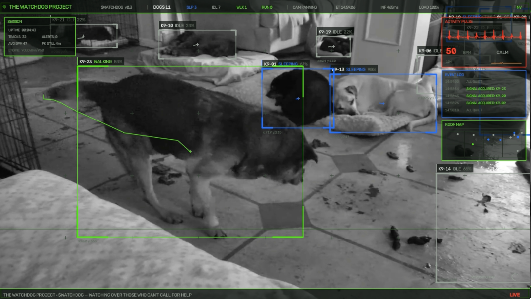Watchdog live analysis frame