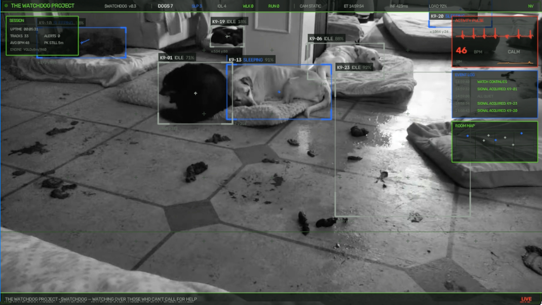 Watchdog live analysis output